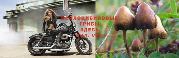 твердый Беломорск