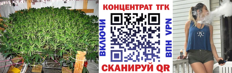 сколько стоит  Волосово  ТГК THC oil 