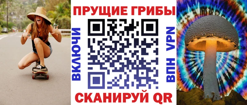 Галлюциногенные грибы прущие грибы  Волосово 